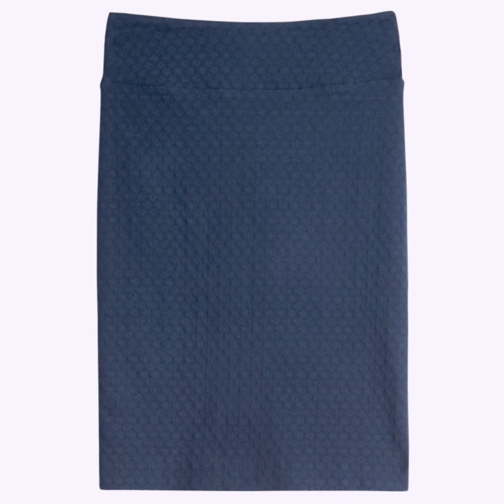 NWOT Margaret M Skirt